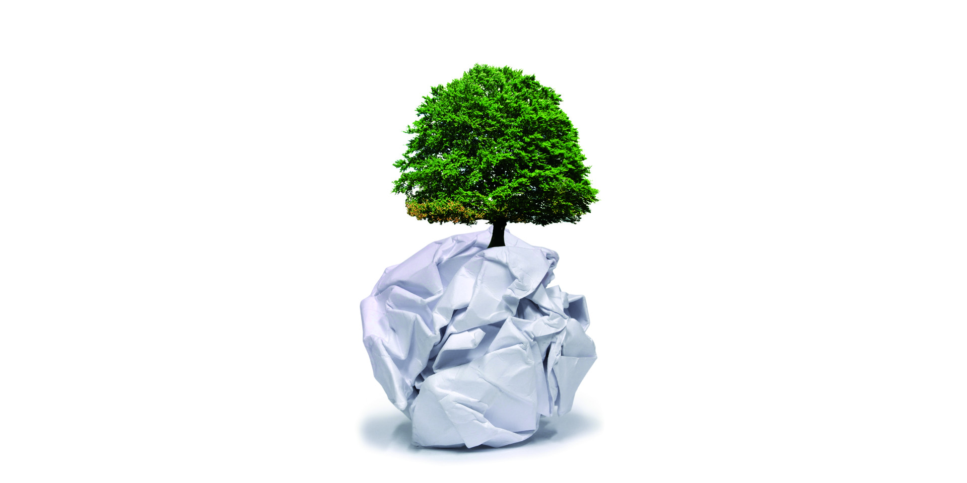 .A green office is also an economical office.
