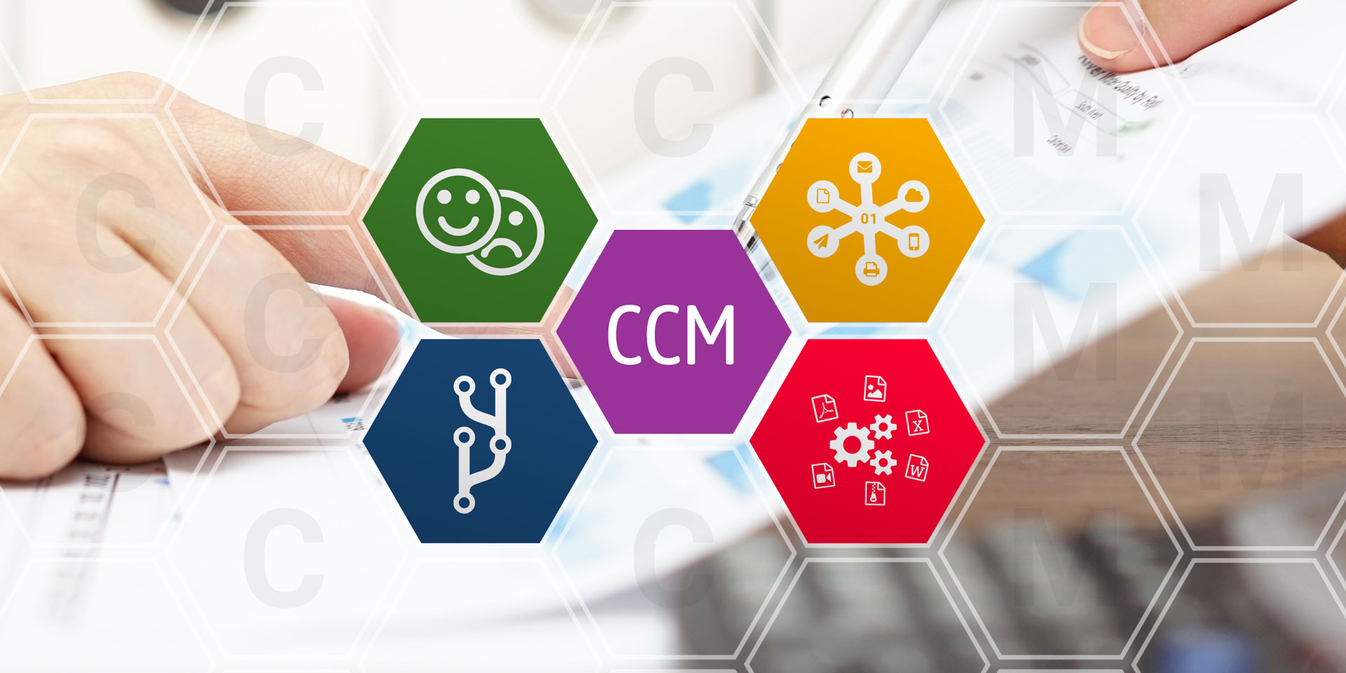 Tipo de soluciones existentes de (CCM) Customer Communications Management